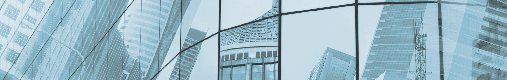 { Banner Image }