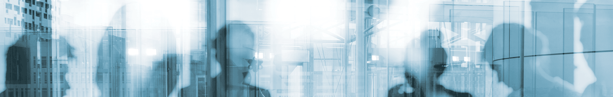 { Banner Image }